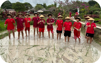 BB Website Seniors Programme Domain 4.png